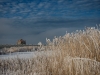 DSC_3758web